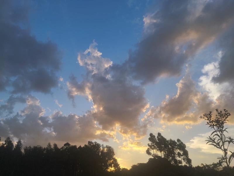 Foto de Miguel Duarte