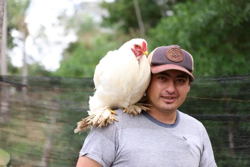 Foto de Alcides Samudio cuevas 